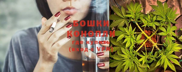 бошки Алексин