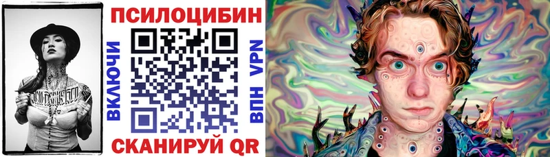 гидра зеркало  Курчалой  Галлюциногенные грибы Magic Shrooms  где купить наркотик 
