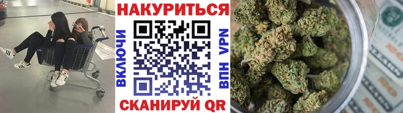 Шишки марихуана SATIVA & INDICA  hydra как войти  Курчалой  цены  